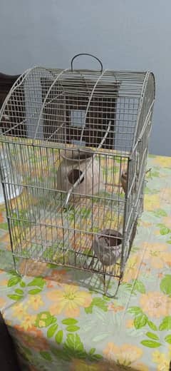 birds for sale with cage