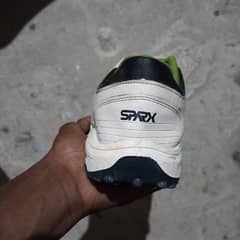 Sparx