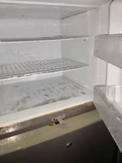 cool for  freezer for sale