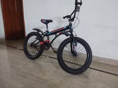 Safari Bicycle for Kids
