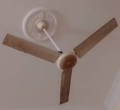 ceiling