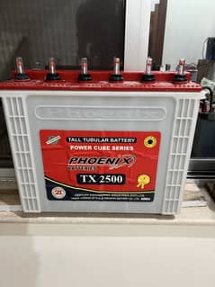 Phoenix Tall Tabular Batteries Tx2500 230amp