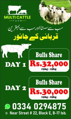 Qurbani hissa share  Best Rate Best Quality