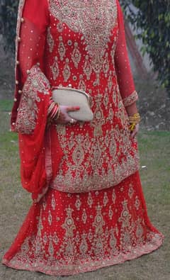 Bridal Red lehnga