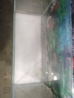 aquarium for sale