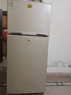 Hair refrigerator