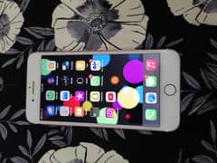 Iphone 7 plus