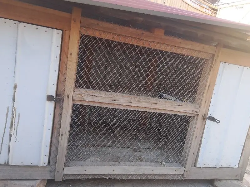 large cage for hen and pigeons — photo 4