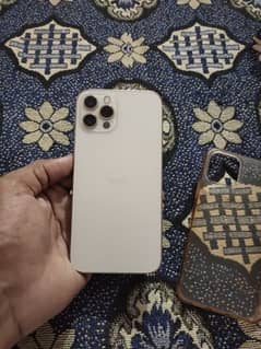 iPhone 12 pro Lush Conduction 10/10 All Ok No Falt With cable 128gb