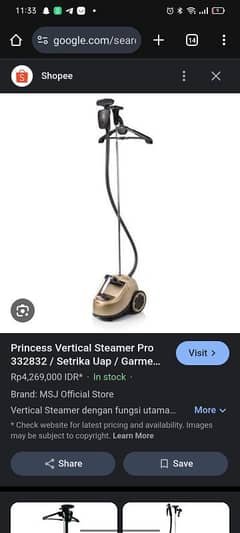 princess steamer