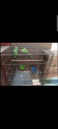 brider PIRE with cage box