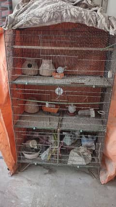 birds cage