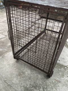 cage for sale with tray