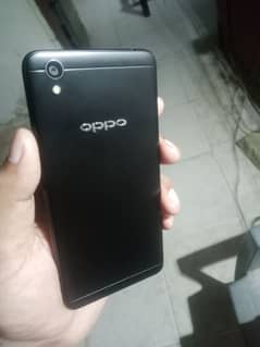 oppo