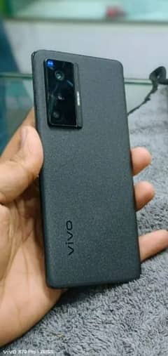 vivo