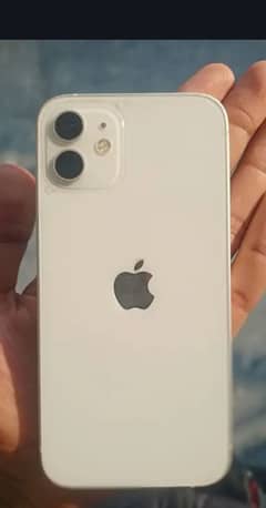 iPhone 12 with 64 GB storage PTA Approved