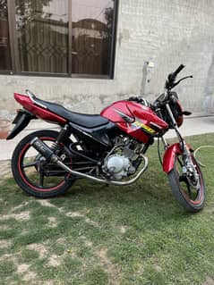 YBR