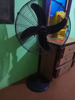 stand fan