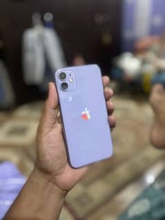 Iphone 11 approve