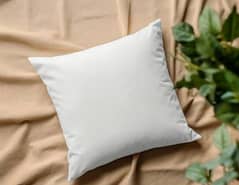 Cushion