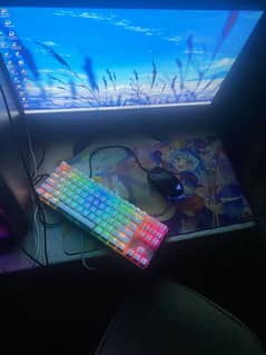 Ryzen 5 5600 Gaming pc