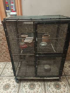 Birds cage double portion