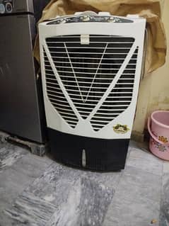 General Air cooler with cooling pads and ice box