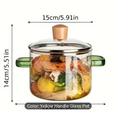 Glass Soup Pot