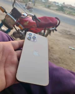 iPhone 12 Pro 256GB factory unlock