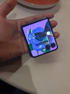 Motorola