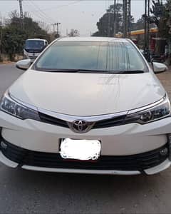 Corolla Gli 2019