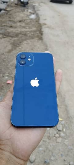 iPhone 12 10/10