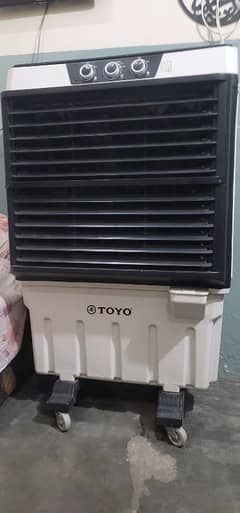Toyo