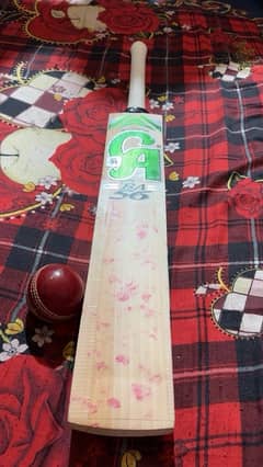 CA bat
