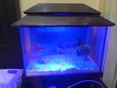 I am selling my Fish aquarium in very good condition