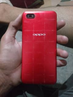 oppo