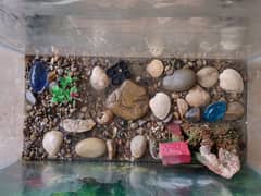 Aquarium
