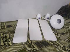 pak fan original