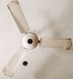 celling fan for sale