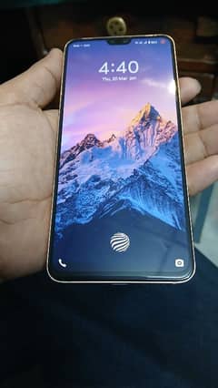vivo
