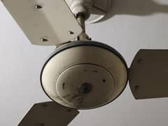 use old celling fan for sale in working condition