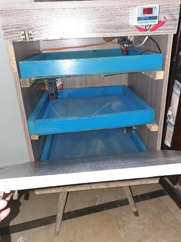 incubator 200 eggs 0