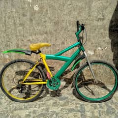 Cycle (Gaer) Full customized