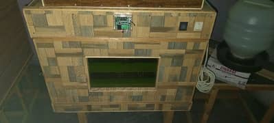 200 eggs incubator