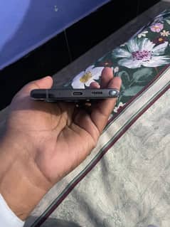 note 10 plus