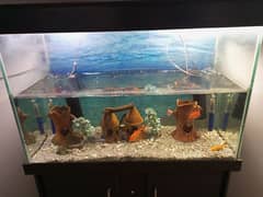 Aquarium