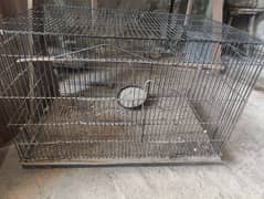 lovebirds cage 2 1/2, 1.5 ft