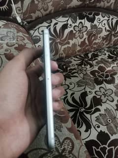 bilkul new hay