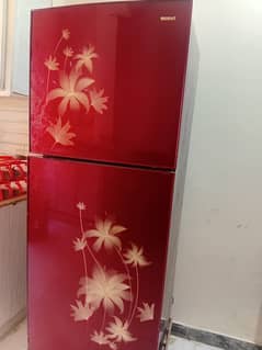 Large Size Orient fridge with front glass door.