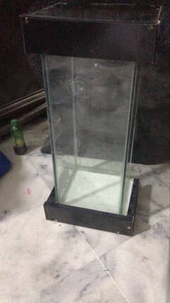 Fish Aquarium setup